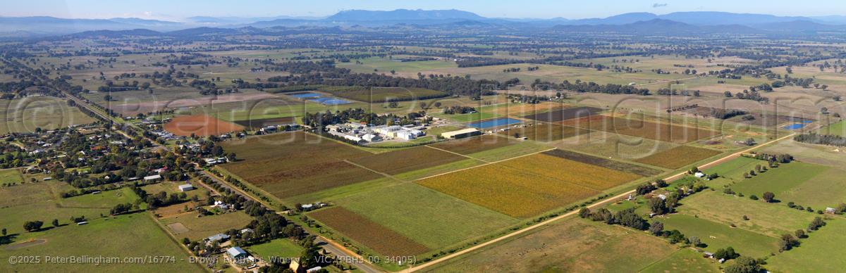 Peter Bellingham Photography Brown Brothers Winery - VIC (PBH3 00 34005)